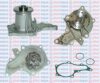 AQUAPLUS 85-2670 Water Pump